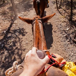 Mule Rim Trail Ride preview